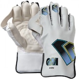 Gunn & Moore Youth Aion Wicket Keeping Gloves Composite_or_Mixed