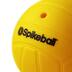 SPIKEBALL