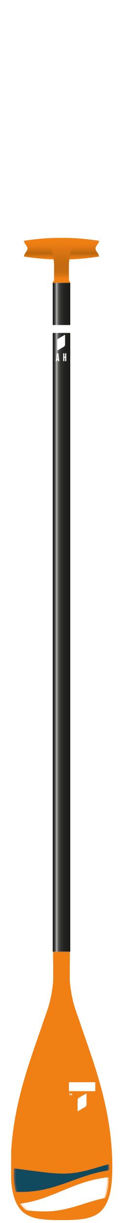 The TAHE Beach Aluminum SUP Paddle 170 cm