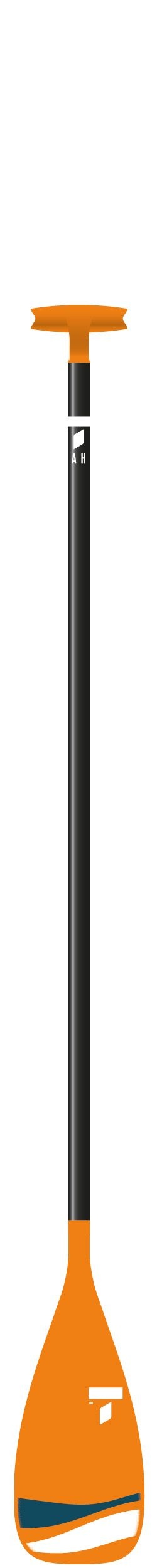 The TAHE Beach Aluminum SUP Paddle 170 cm