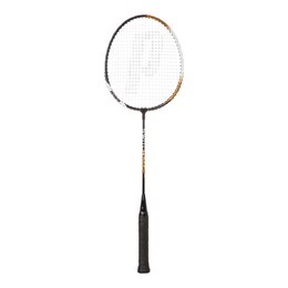 Prince
 Switch SLX S Badminton Set