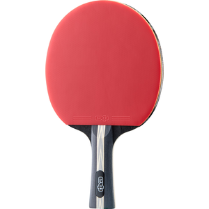 EXP Nova 4 Star Table Tennis Paddle Set 2-pk