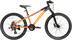 DIAMONDBACK