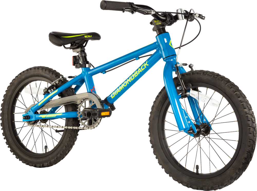 Sport chek youth online bikes