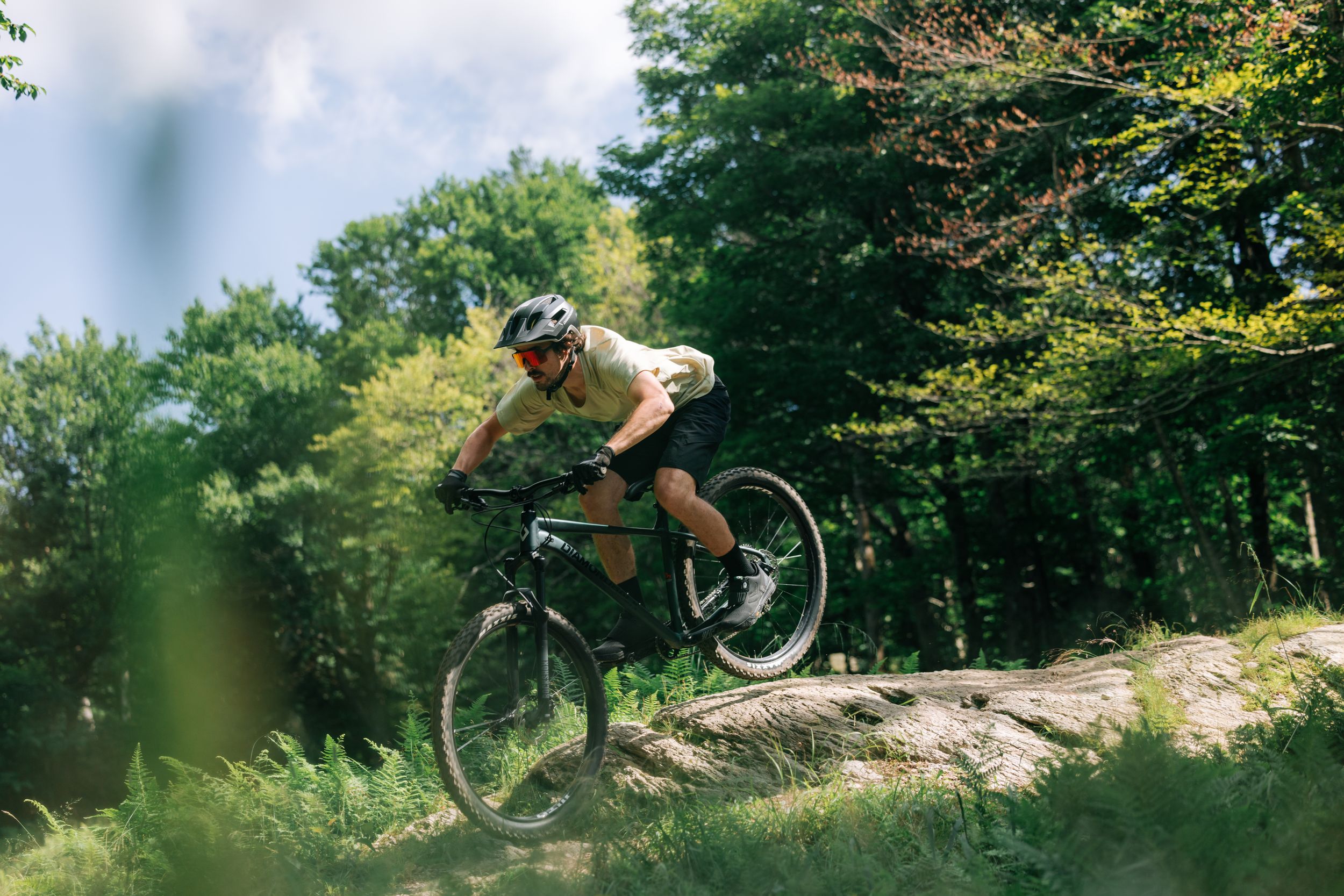 Diamondback Men's 29 Inch Crimson Mountain Bike