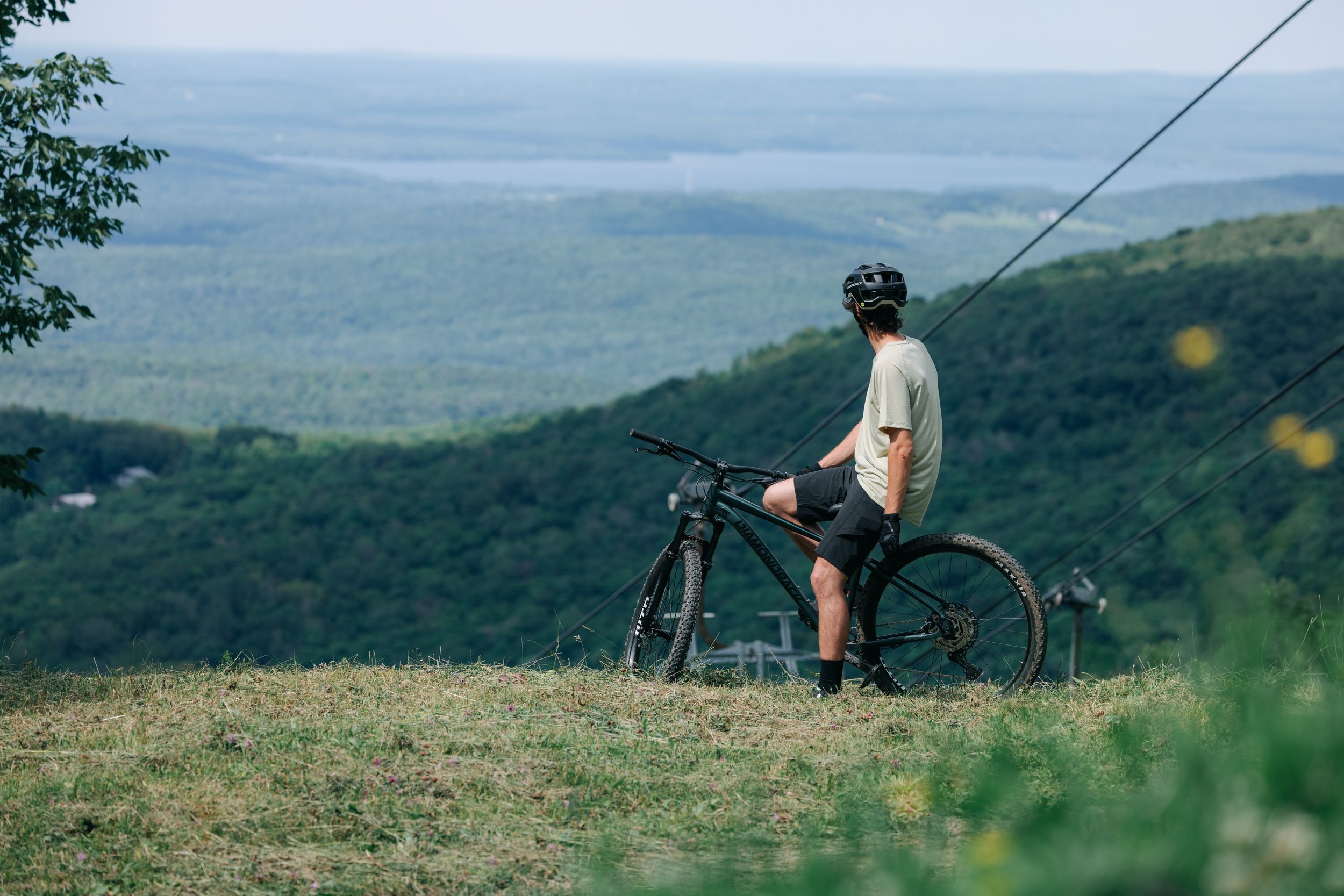 Diamondback Men's 29 Inch Crimson Mountain Bike