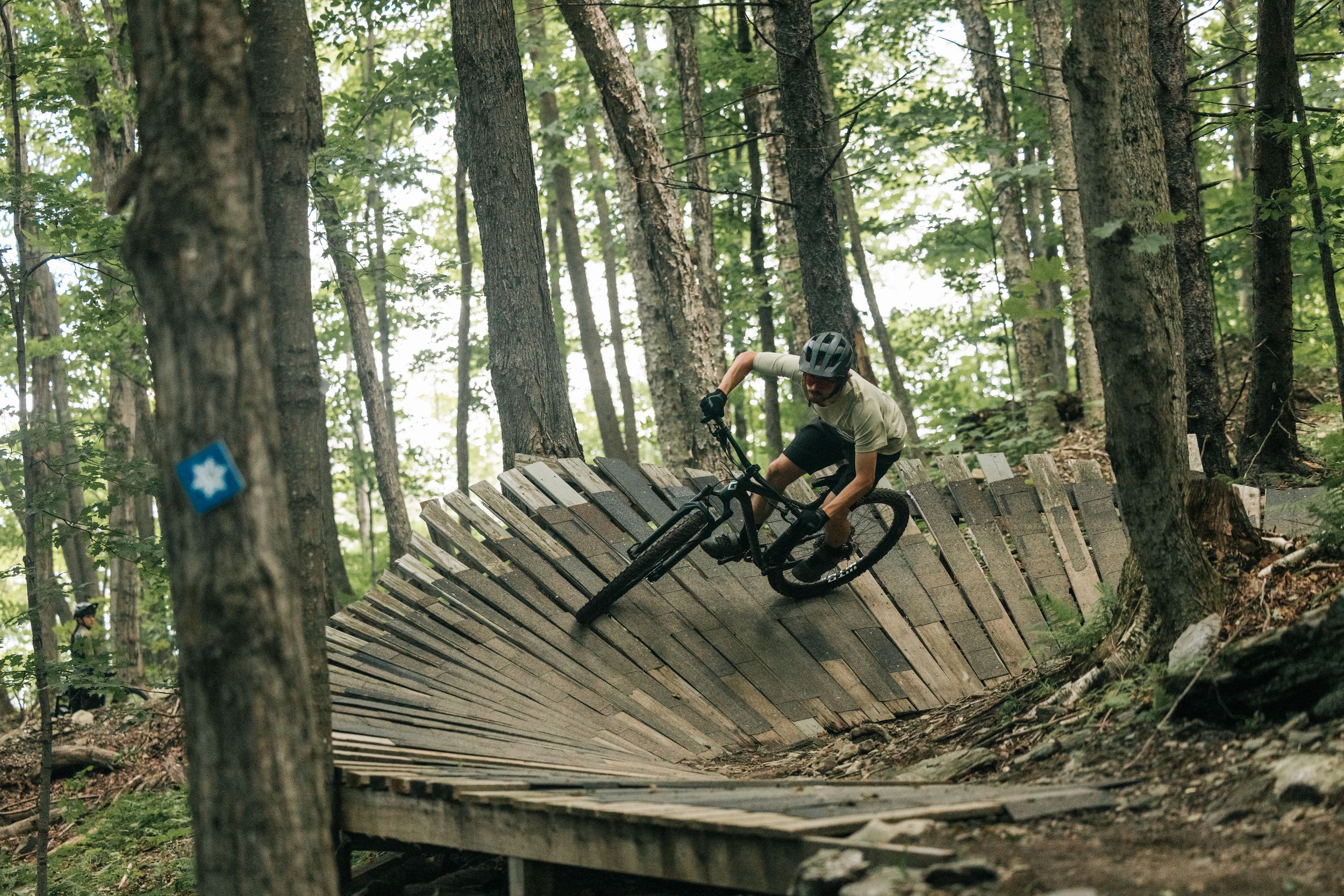 Diamondback Men's 29 Inch Crimson Mountain Bike