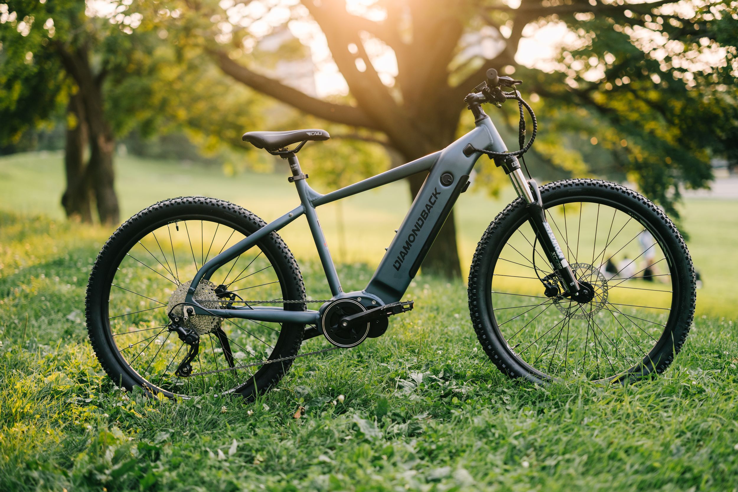 DIAMONDBACK POWERLINE 1 27.5 (Q123)