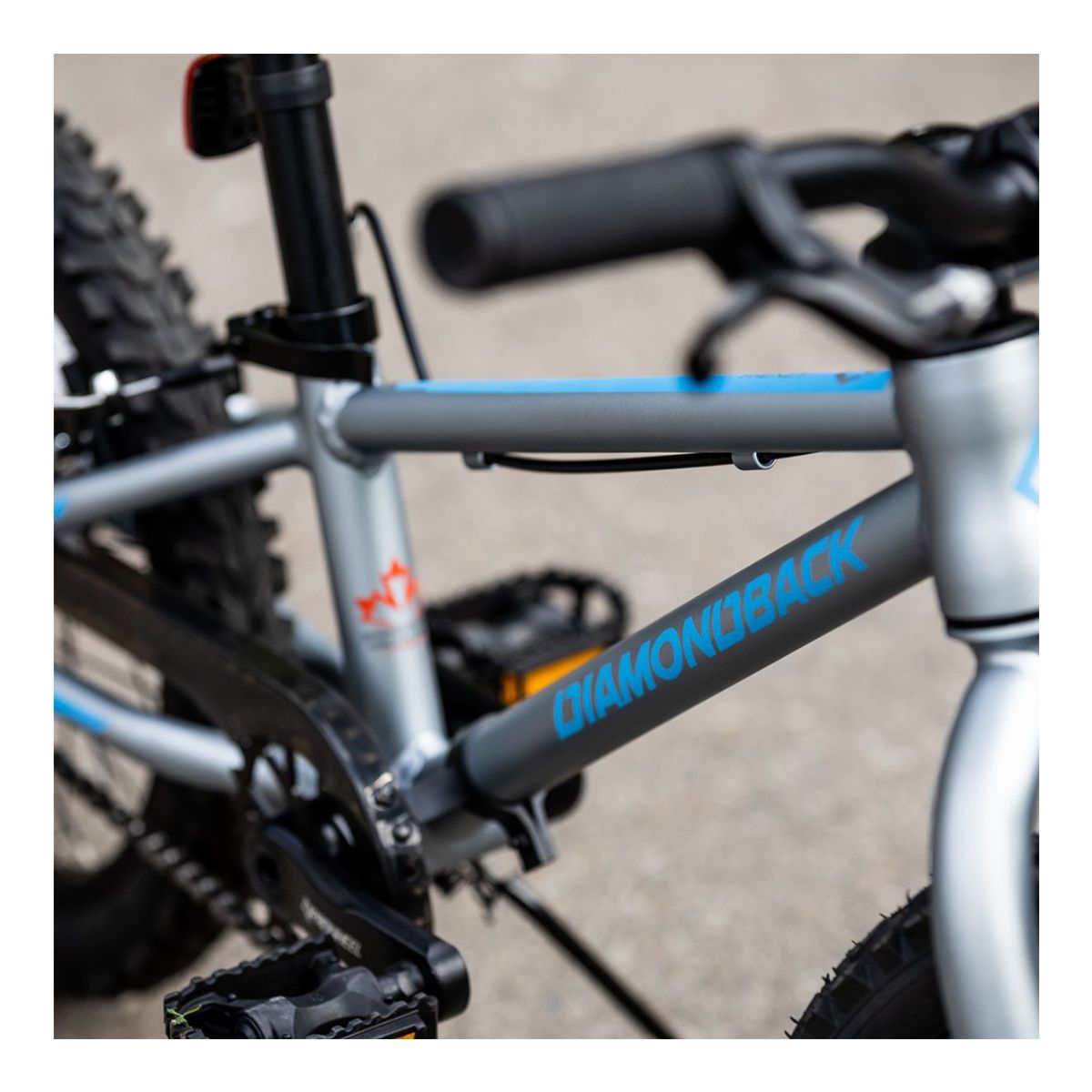 Diamondback Frenzy 16 Inch Junior Mountain Bike CloseUp
