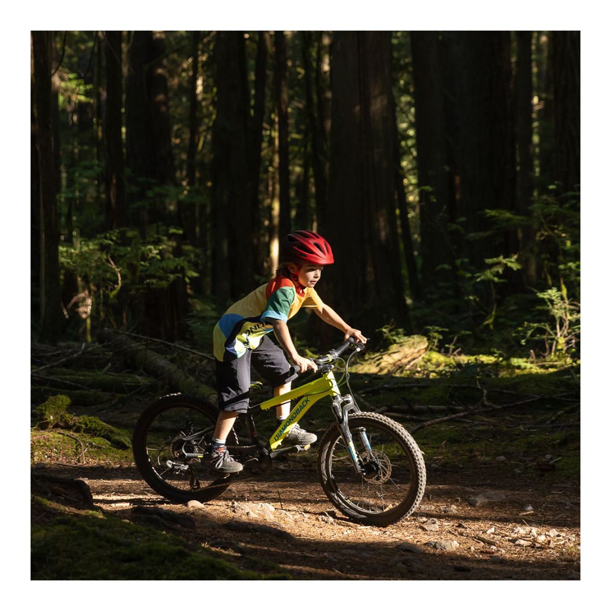 Diamondback Snake 20 Inch Junior Mountain Bike