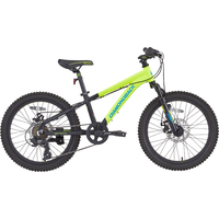 Diamondback Snake 20 Inch Junior Mountain Bike Side_Right