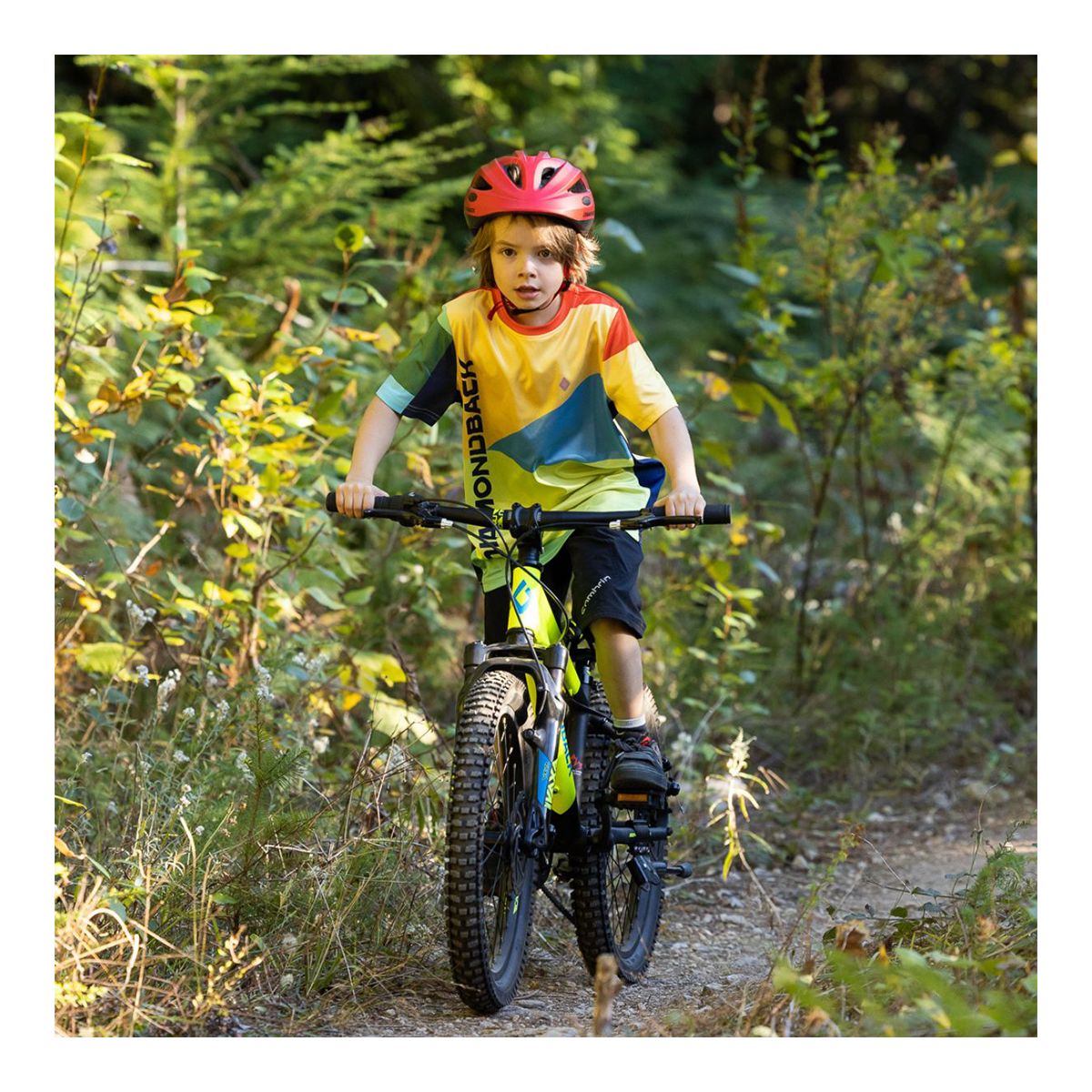 Diamondback Snake 20 Inch Junior Mountain Bike