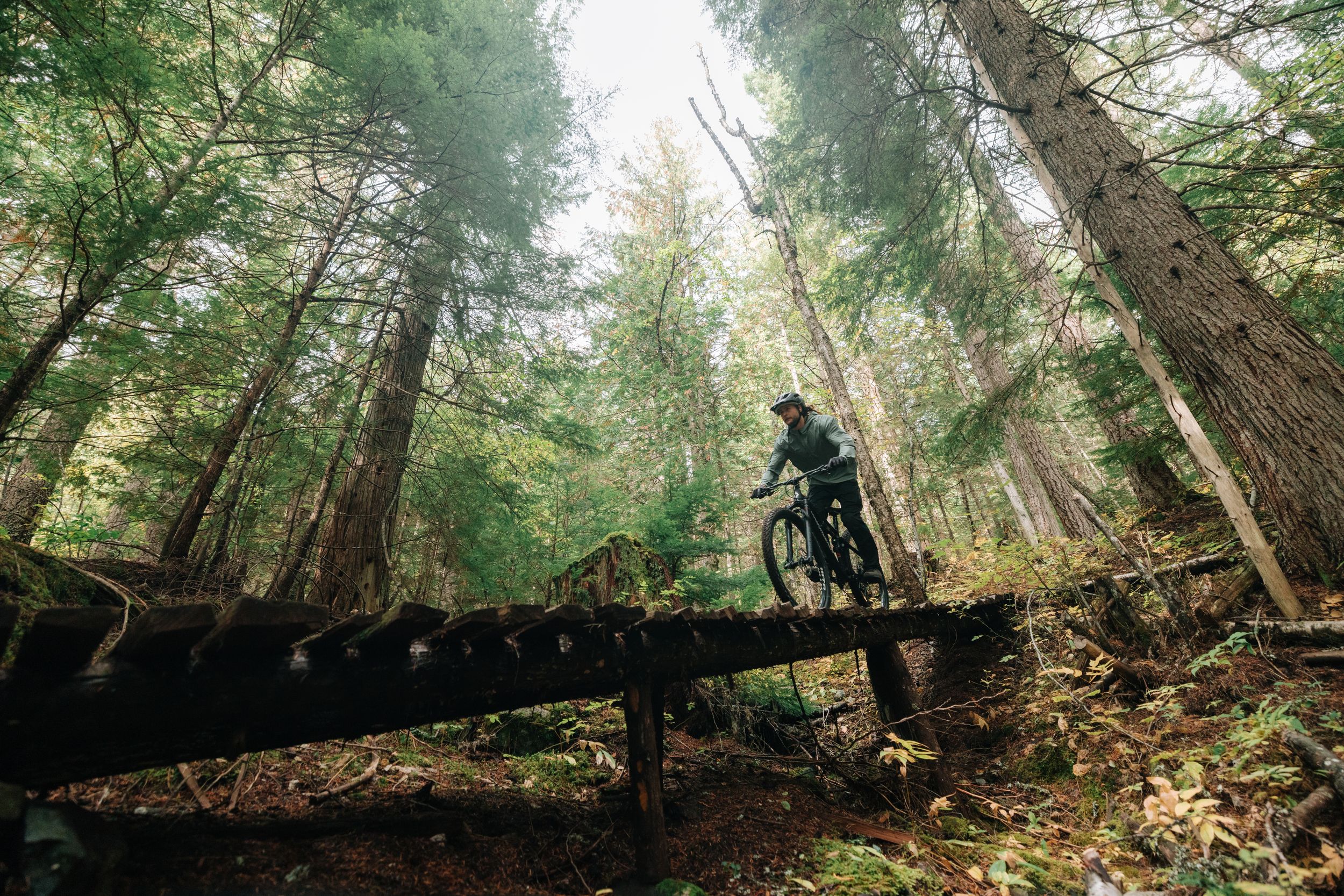 Diamondback Men's Wrath 2 29 Inch Mountain Bike