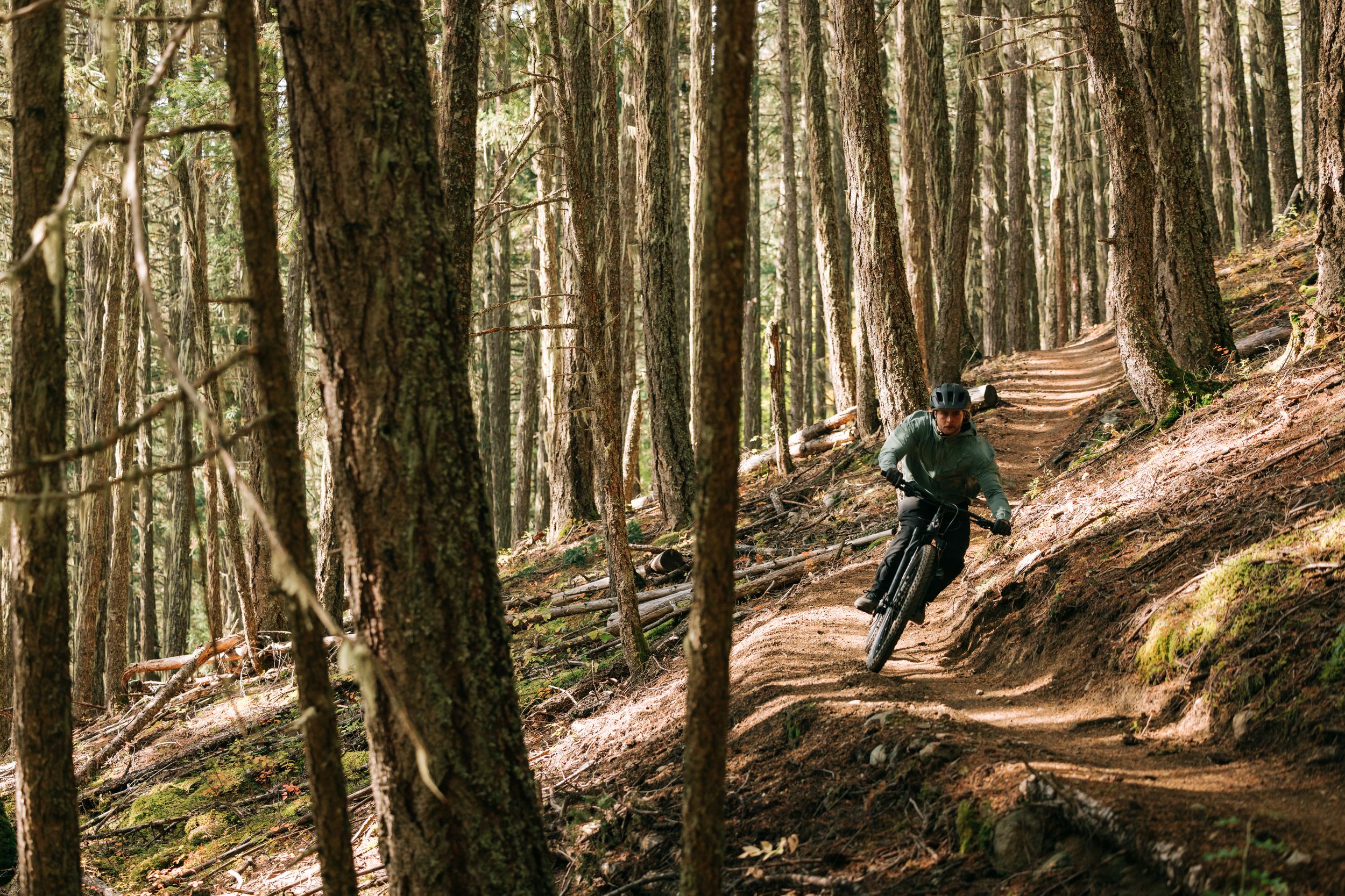 Diamondback Men's Wrath 2 29 Inch Mountain Bike