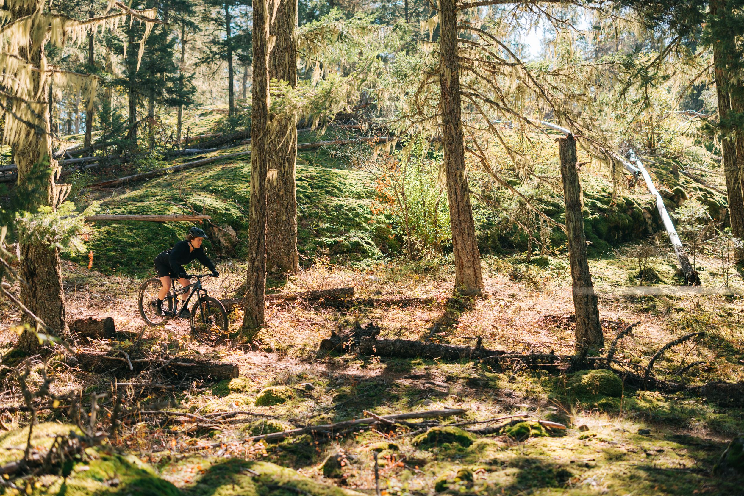 Diamondback Men's Wrath 1 29 Inch Mountain Bike