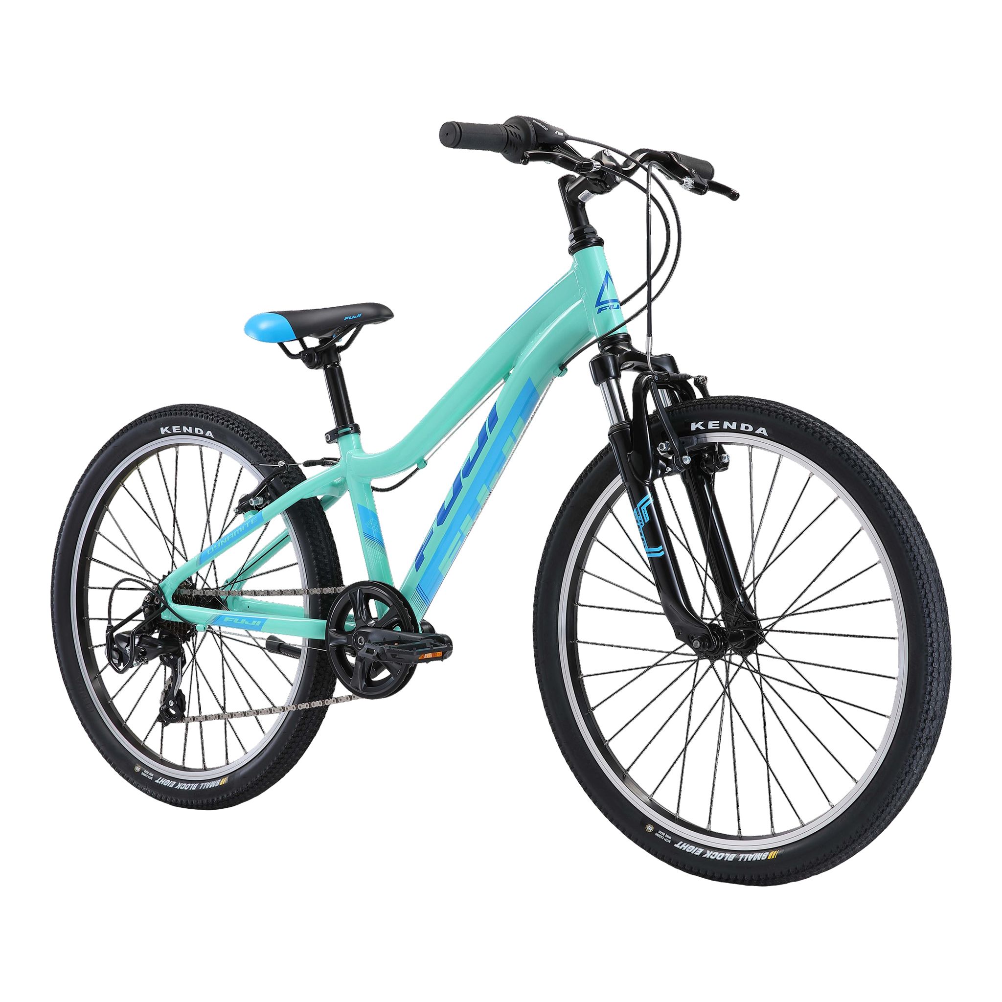 Fuji Dynamite 24 Sport Junior Mountain Bike