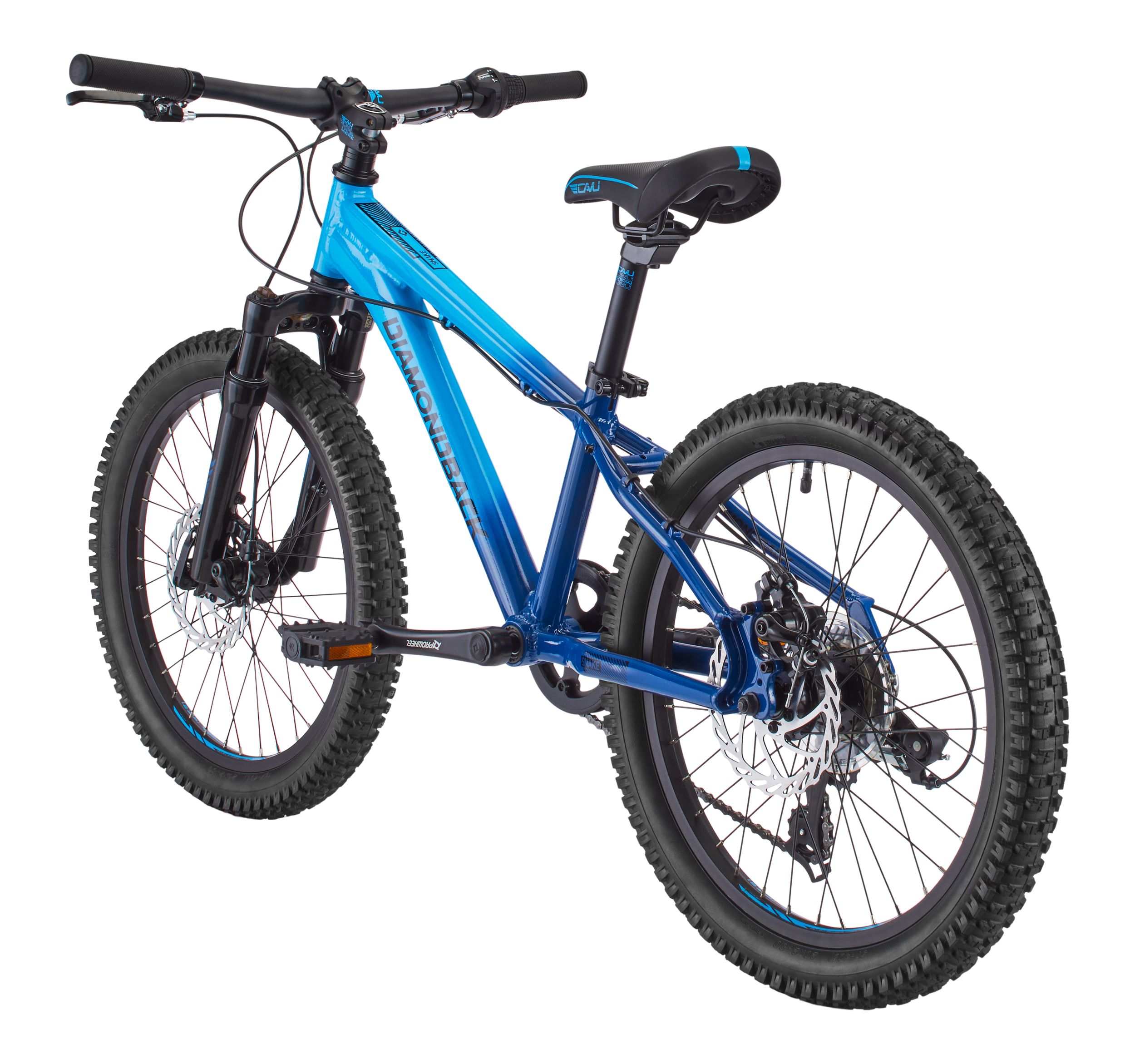 Diamondback Snake 20" Junior Mountain Bike Back_Angled_Left