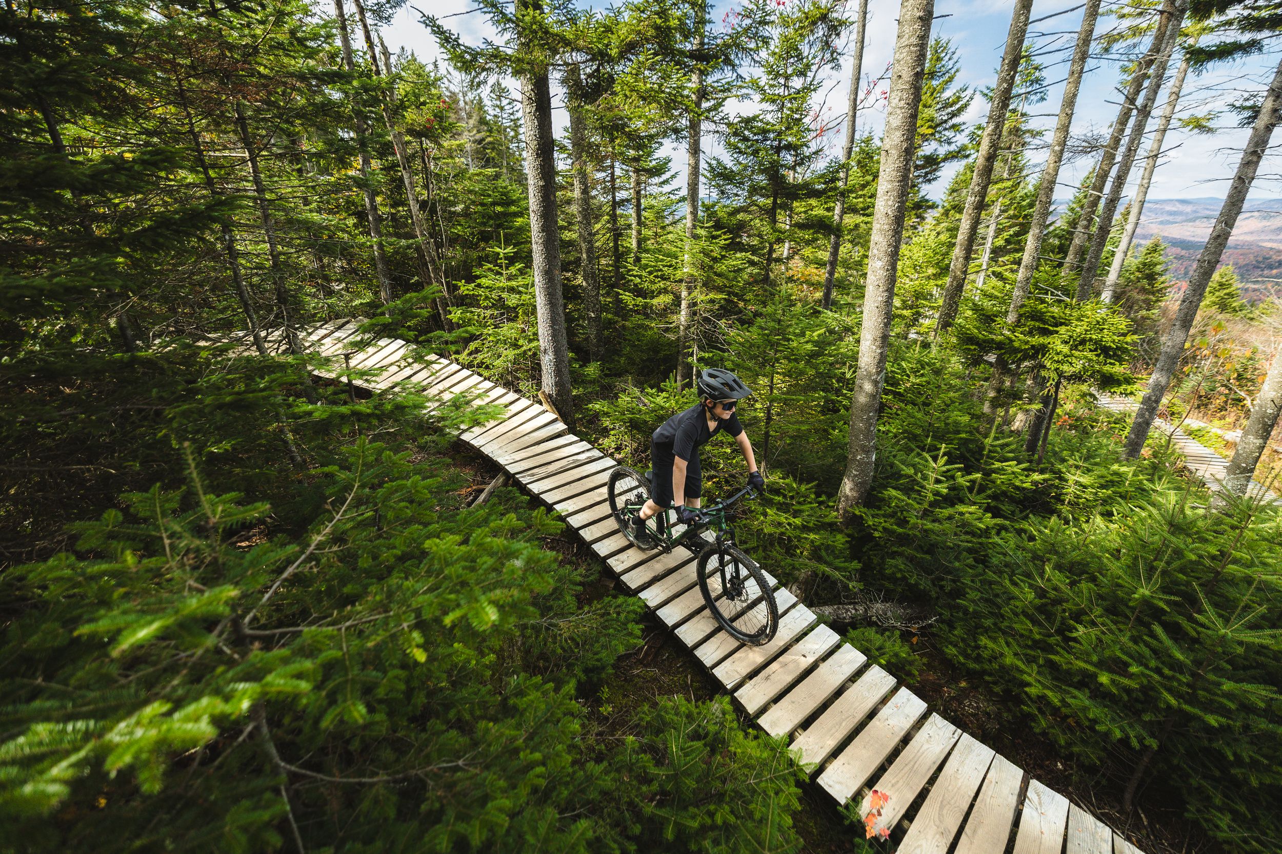 Diamondback Speedtrail 26" Youth Mountain Bike Overhead_Plunge