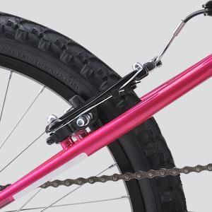 Diamondback Kids' Tess 20-in Junior Mountain Bike CloseUp