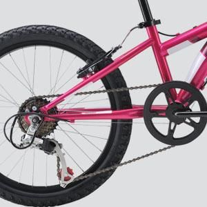 Diamondback Kids' Tess 20-in Junior Mountain Bike CloseUp