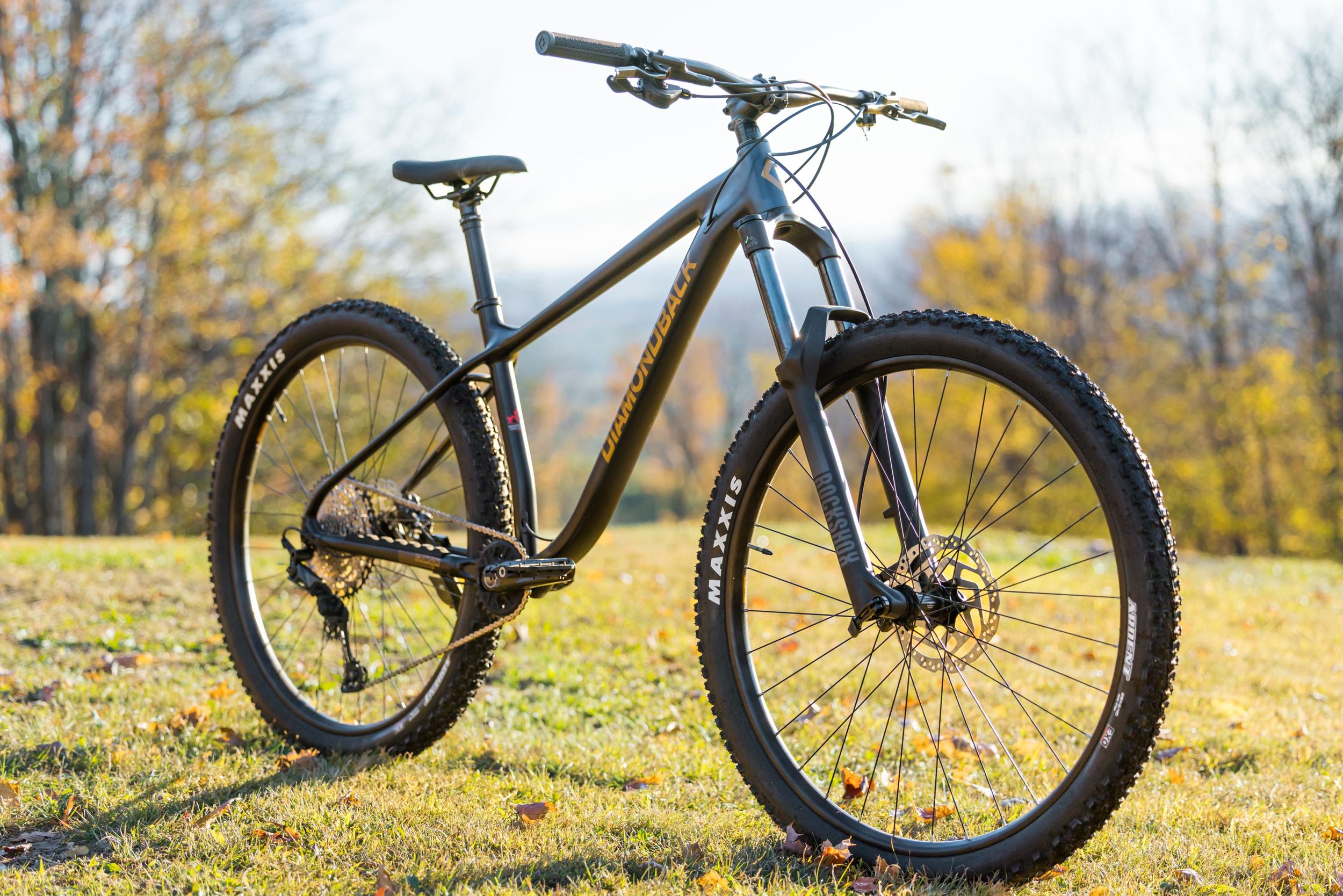 Diamondback Crimson 3.0 29 Inch Mountain Bike