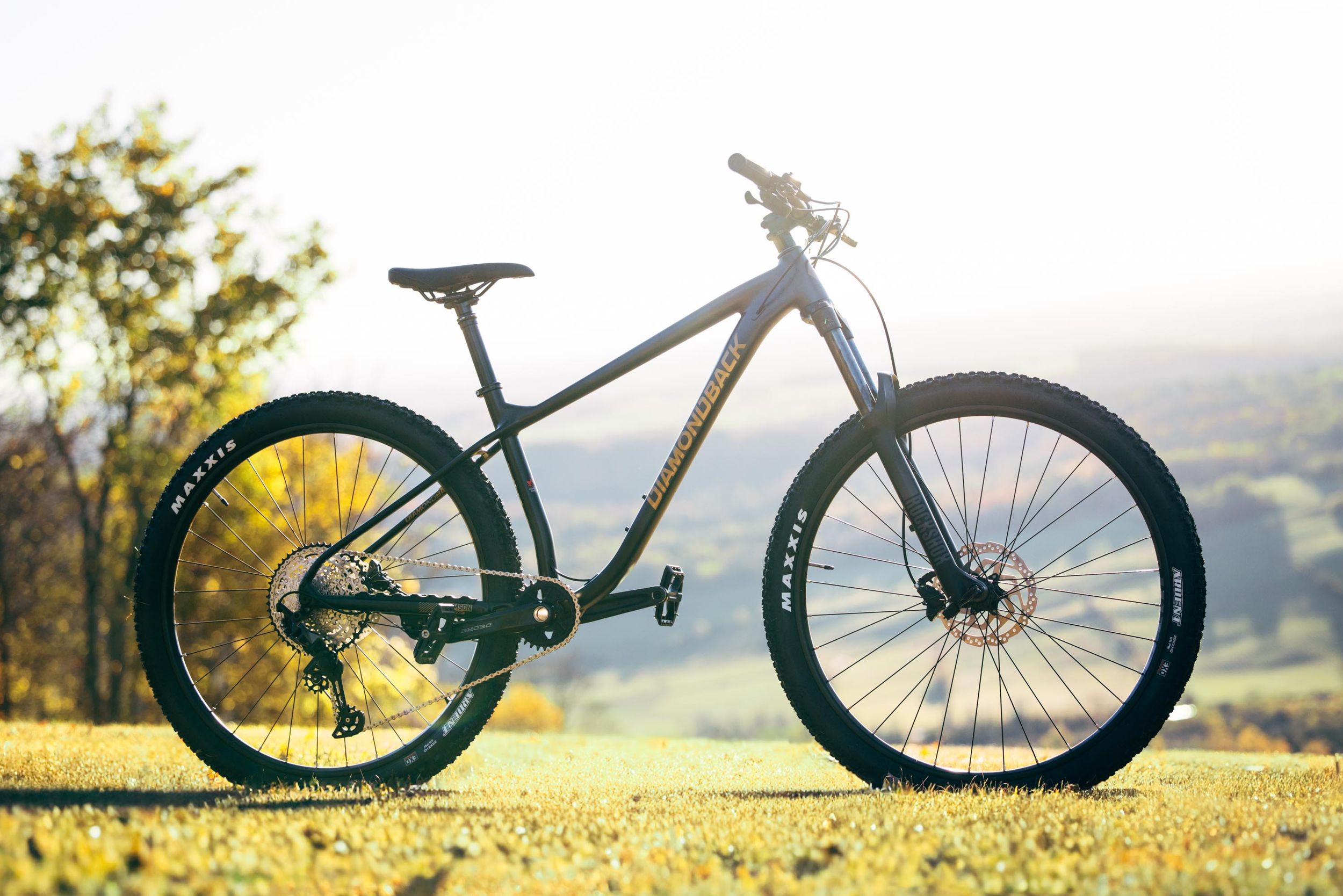 Diamondback Crimson 3.0 29 Inch Mountain Bike