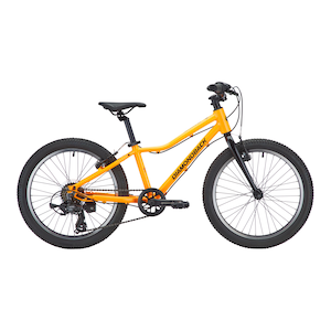 Diamondback Revolve 20 Inch Junior Mountain Bike