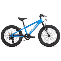 Mongoose Switchback 20 Inch Junior Mountain Bike Side_Right