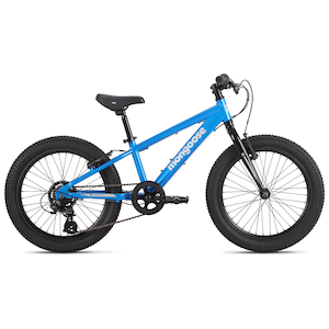 Mongoose Switchback 20 Inch Junior Mountain Bike