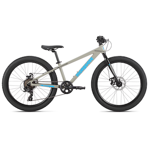 Mongoose Switchback 24 Inch Junior Mountain Bike