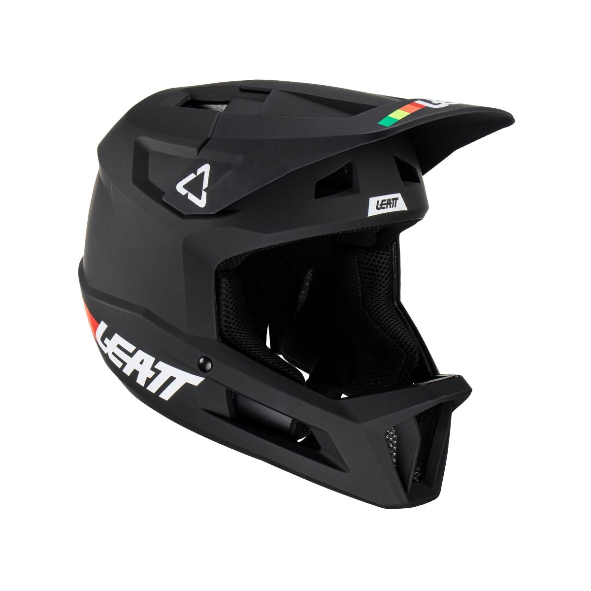 Leatt Men's MTB 1.0 Gravity Protection Helmet