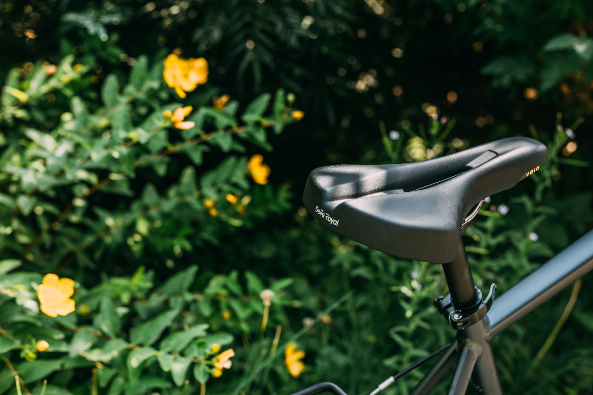 Selle Royal Vaia Moderate Unisex Bike Saddle with Royalgel Padding