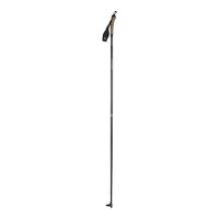 Madshus Nordic Ski Poles 2021/22 Back_Angled_Right