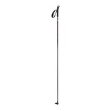 Salomon Escape Cross-Country Ski Poles 2023 Front_Three_Fourths_Angled_Right