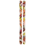 Völkl Revolt 81 Men's Skis 2024 Overhead_Flat