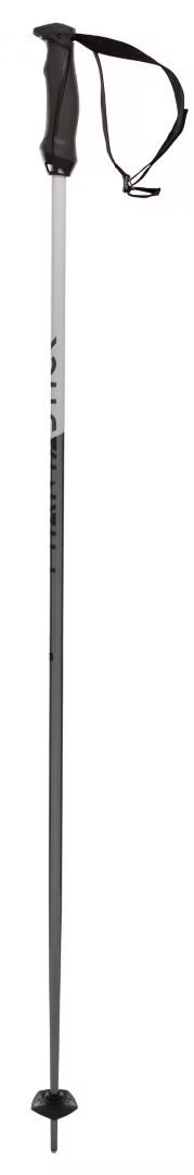 Völkl Phantastick Adult Ski Poles