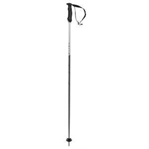 Völkl Phantastick Adult Ski Poles