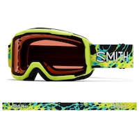 Smith Daredevil Ski & Snowboard Goggles