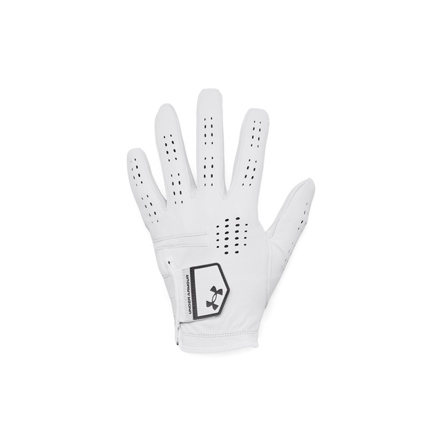 Under Armour Golf Tour Men's Golf Gloves