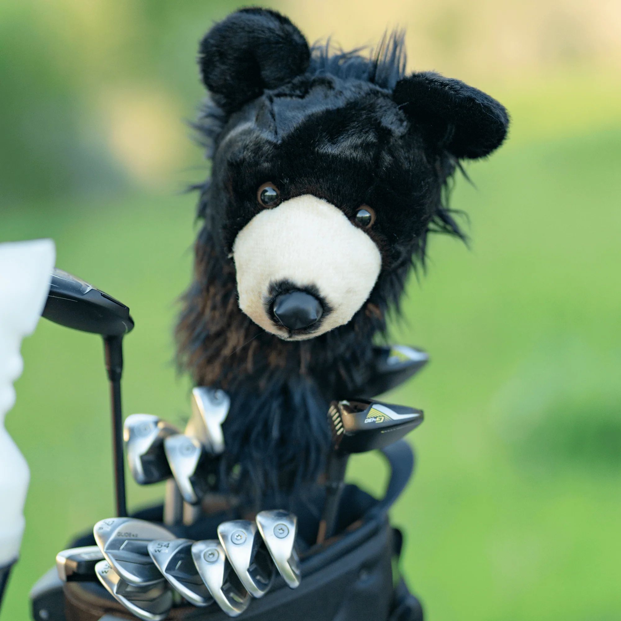 Daphnes Bear Headcover