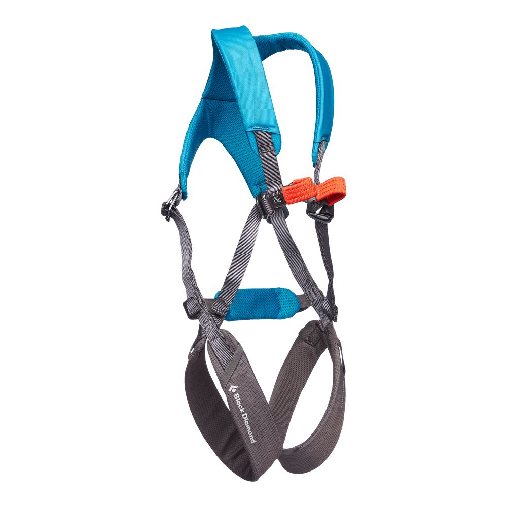 Black Diamond Kids' Momentum Full Body Harness