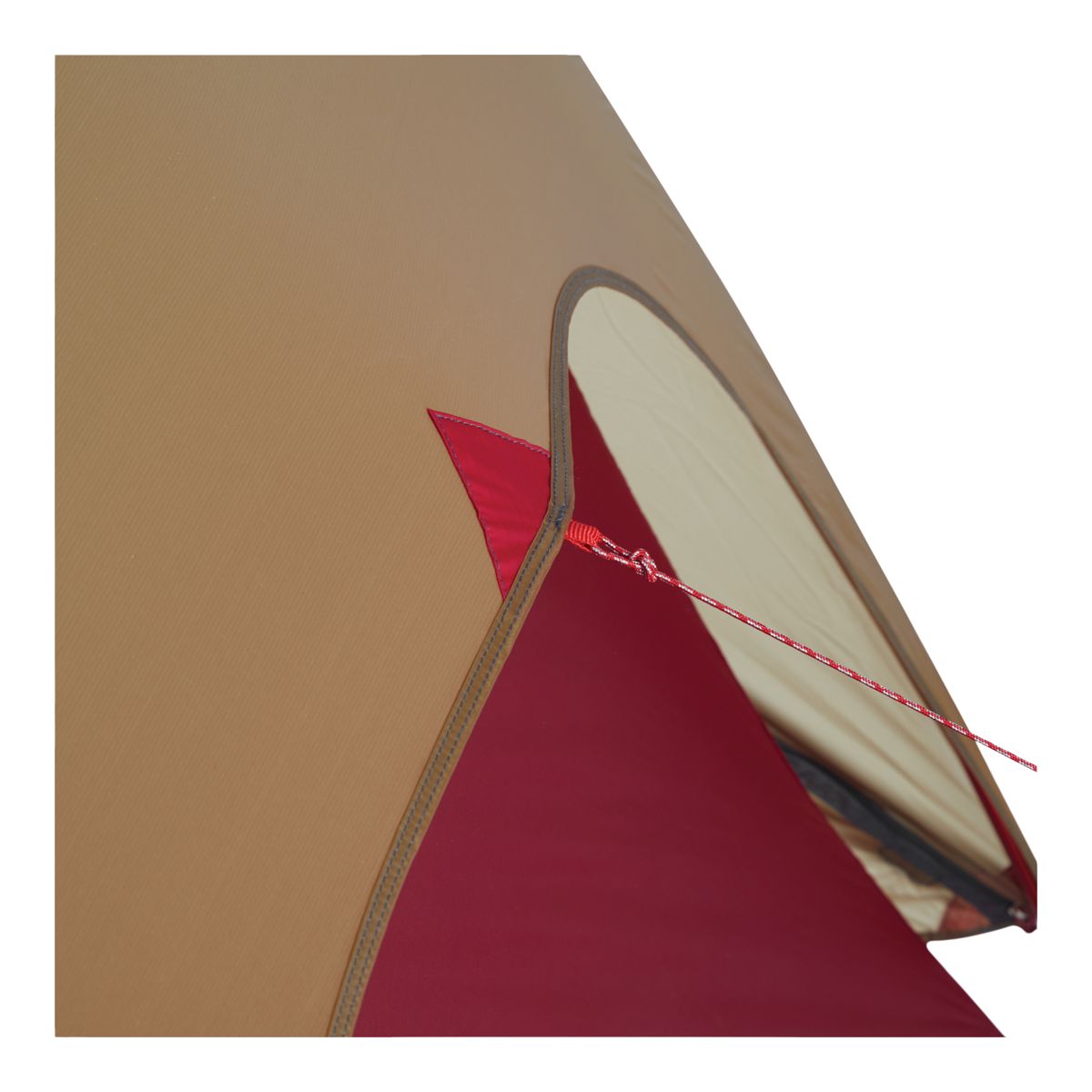 MSR Freelite 2 Person Tent CloseUp