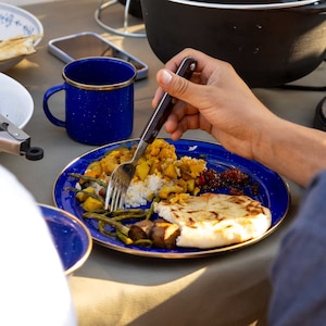 GSI Mesa 10 Inch Plate