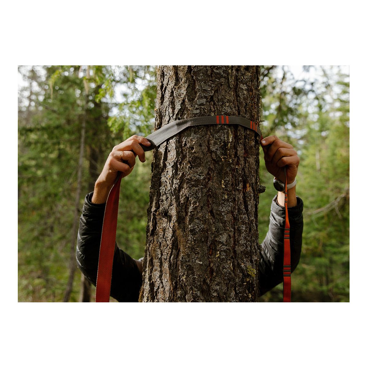 Kammok 10ft Python Straps CloseUp