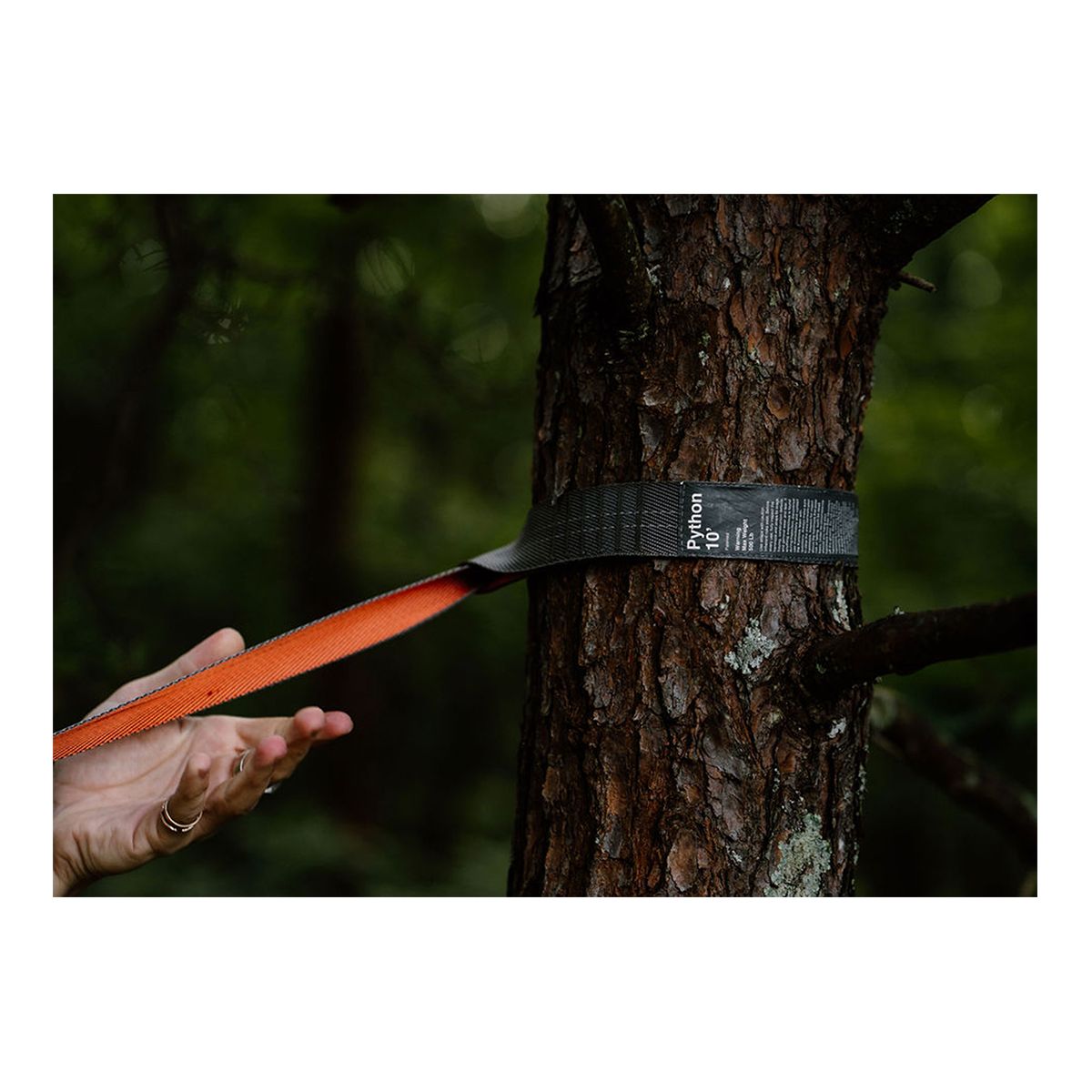 Kammok 10ft Python Straps CloseUp