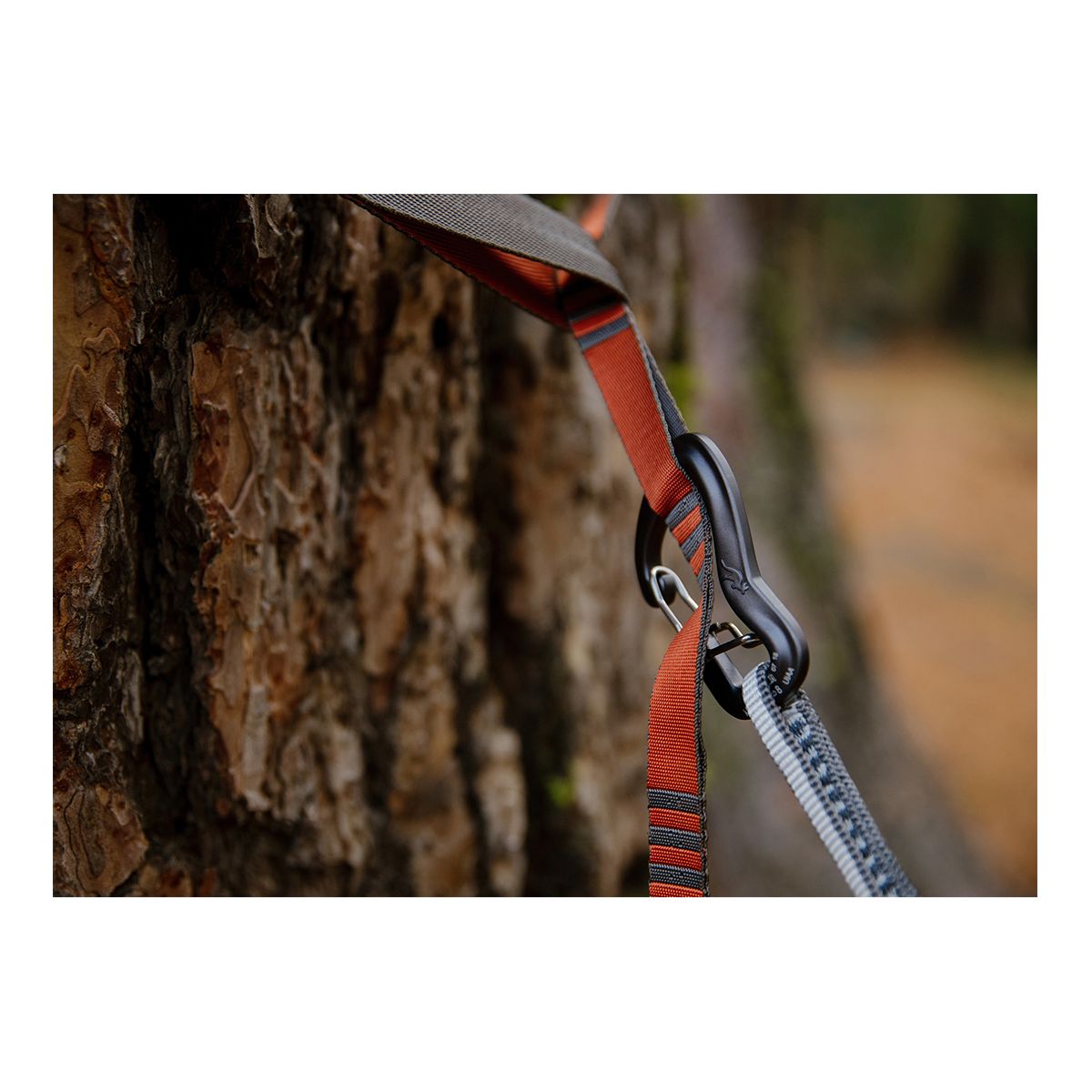 Kammok 10ft Python Straps CloseUp