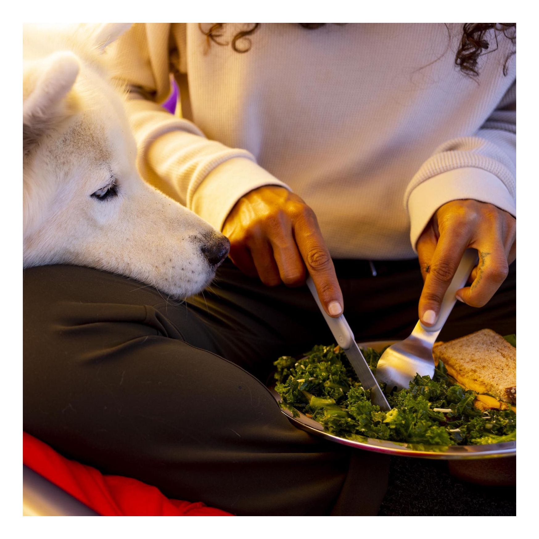 Hydro Flask Camp Plate CloseUp