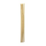Coghlan's Roasting Sticks Front_Flat