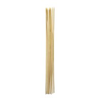 Coghlan's Roasting Sticks Front_Flat
