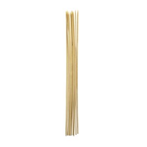 Coghlan's Roasting Sticks